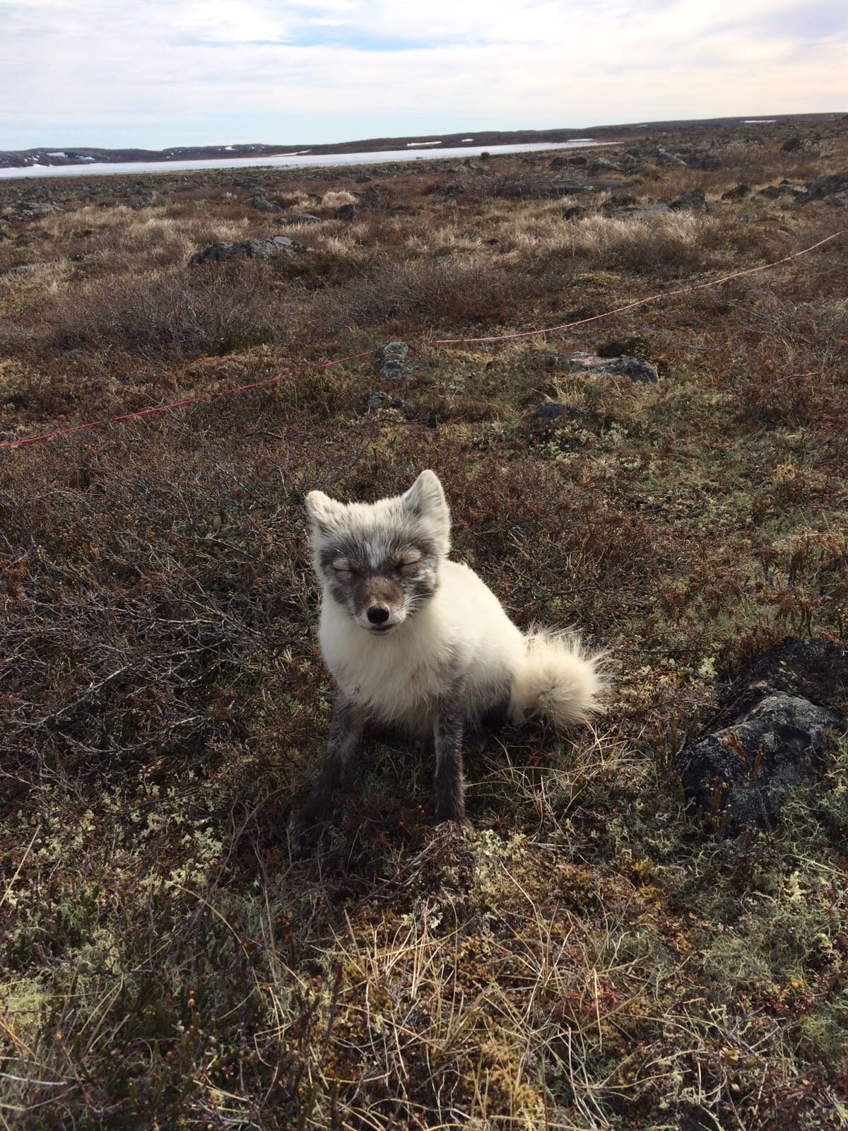 Nunavut