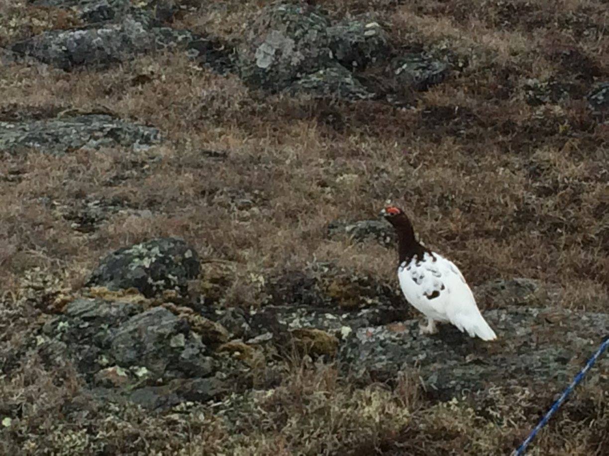 Nunavut