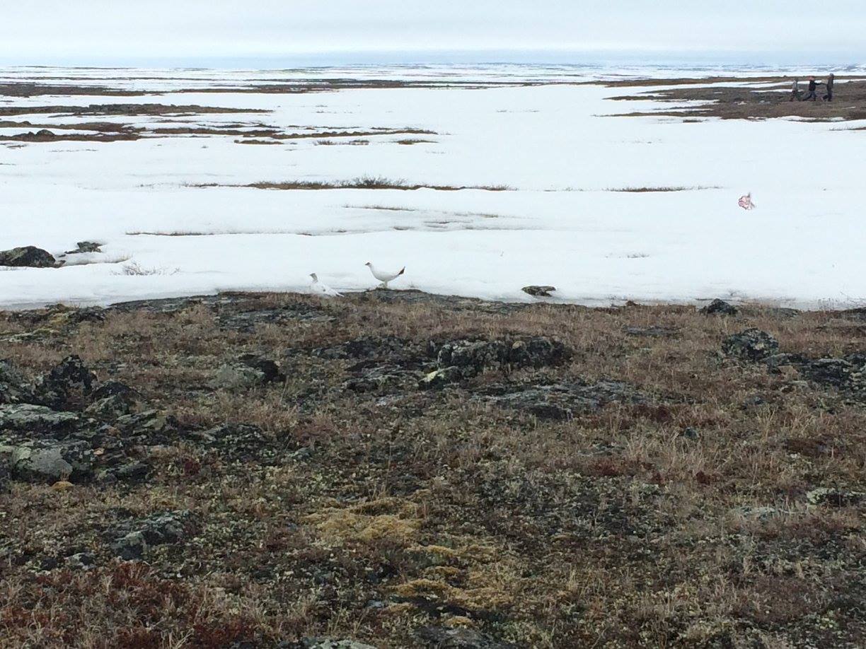 Nunavut