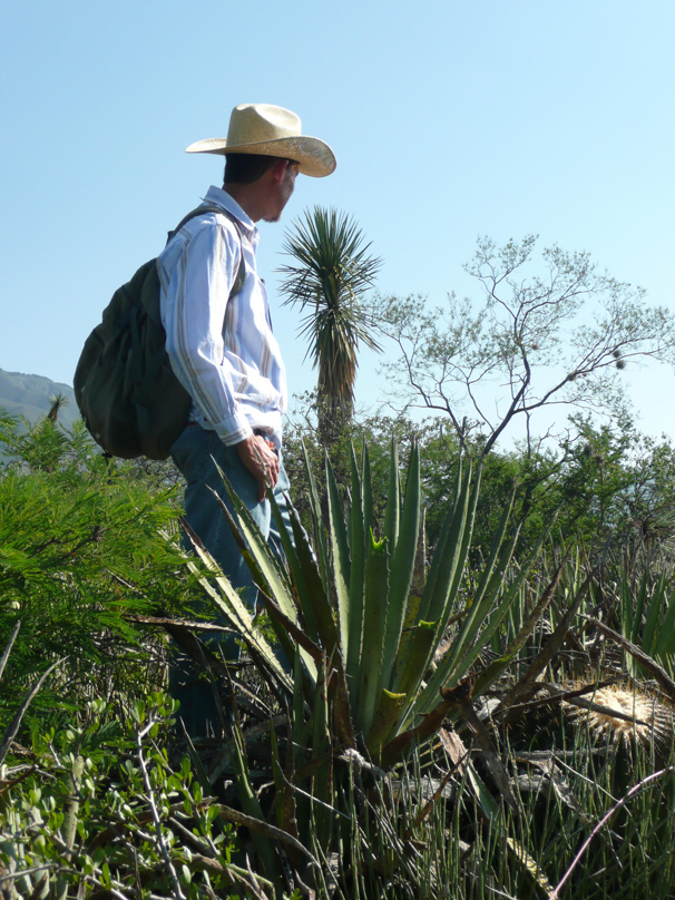 Mexique