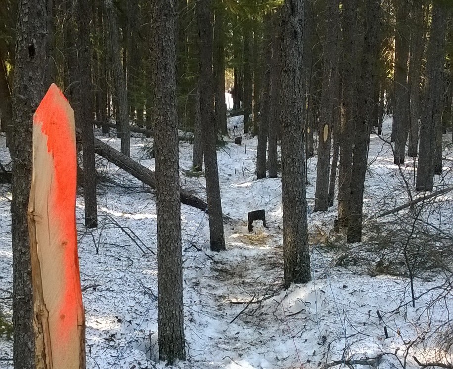 Abitibi