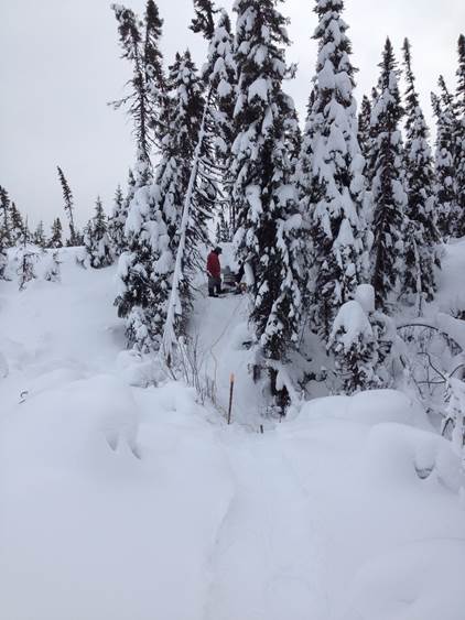 Abitibi
