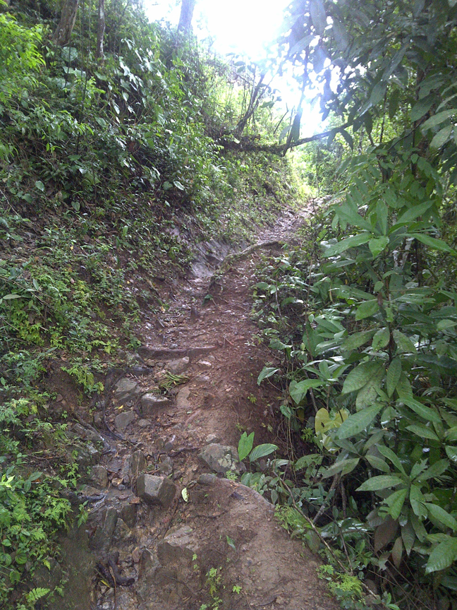 Colombie