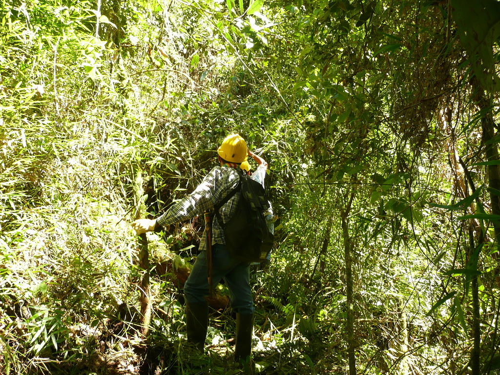 Colombie