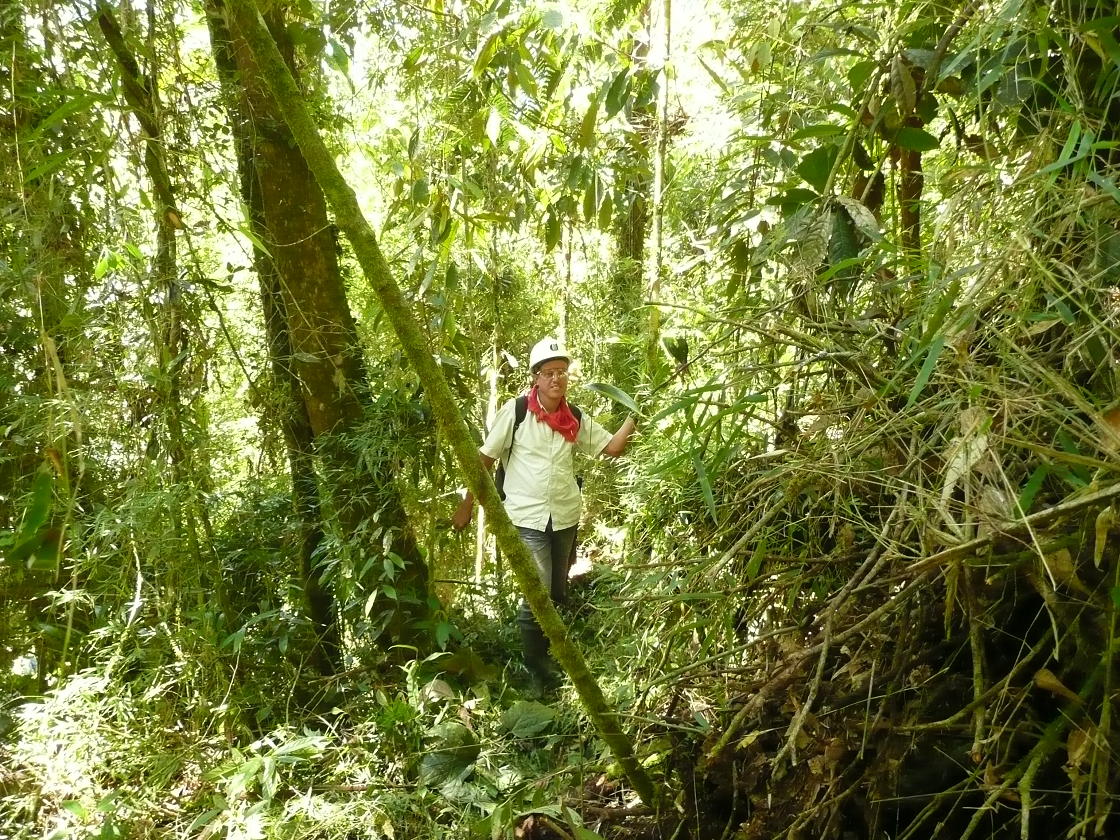 Colombie