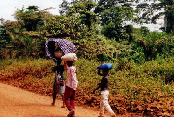 Côte d'Ivoire