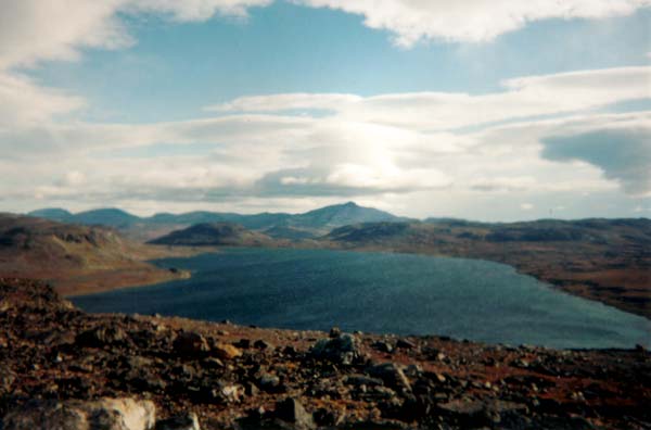 Labrador