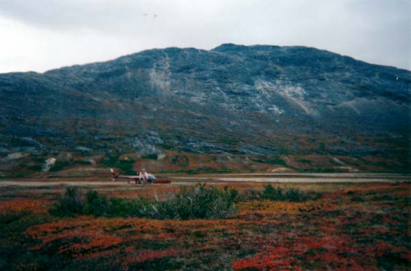 Labrador
