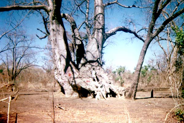 Mali